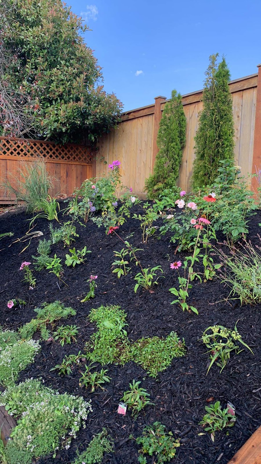 Seaside Landscaping | 27 Moss St, Victoria, BC V8V 4L9, Canada | Phone: (250) 514-2901