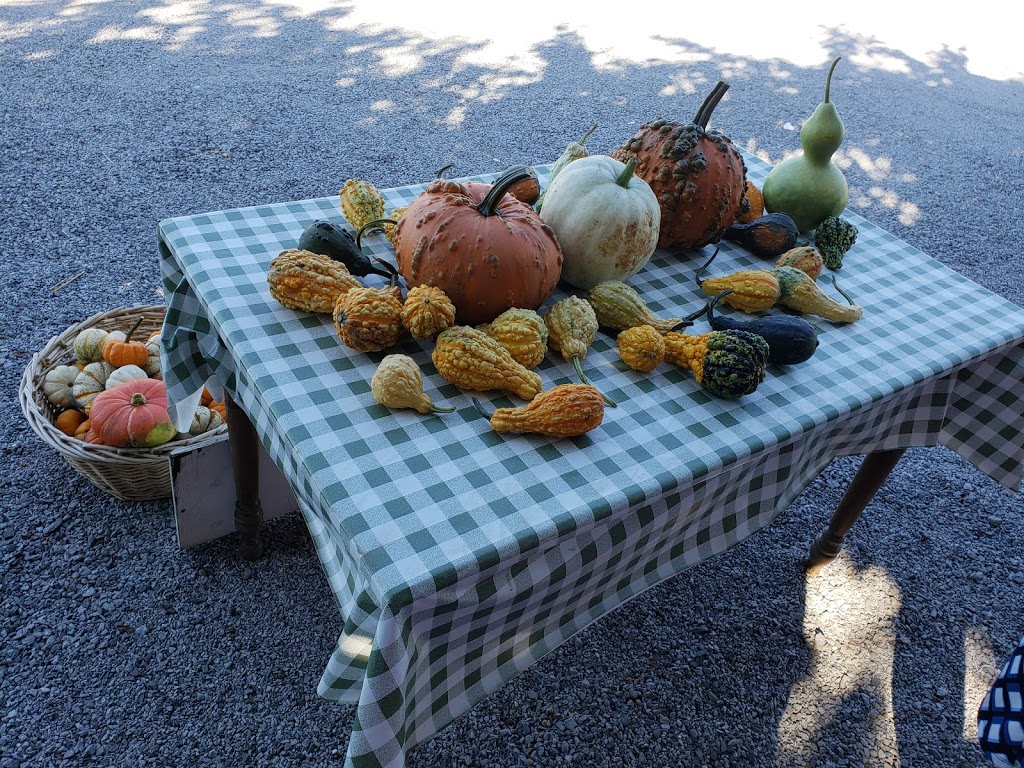 Local Menonite Fruit and Legumes | 1023 East and West Line, Niagara-on-the-Lake, ON L0S 1J0, Canada