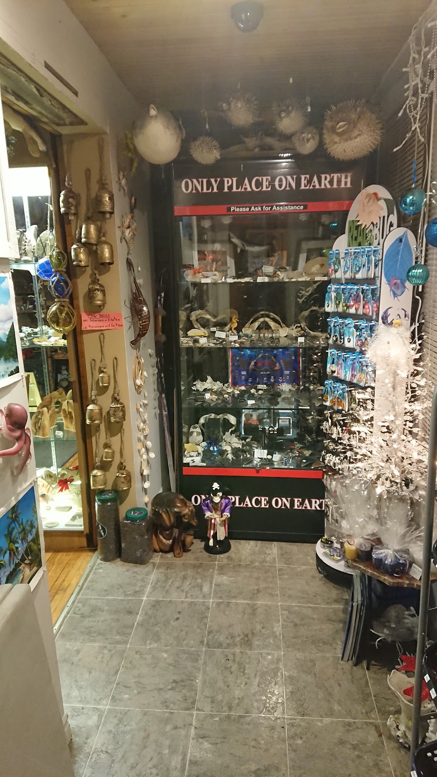 Only Place On Earth | 107 Queen St, Dunnville, ON N1A 1H6, Canada | Phone: (905) 701-7775