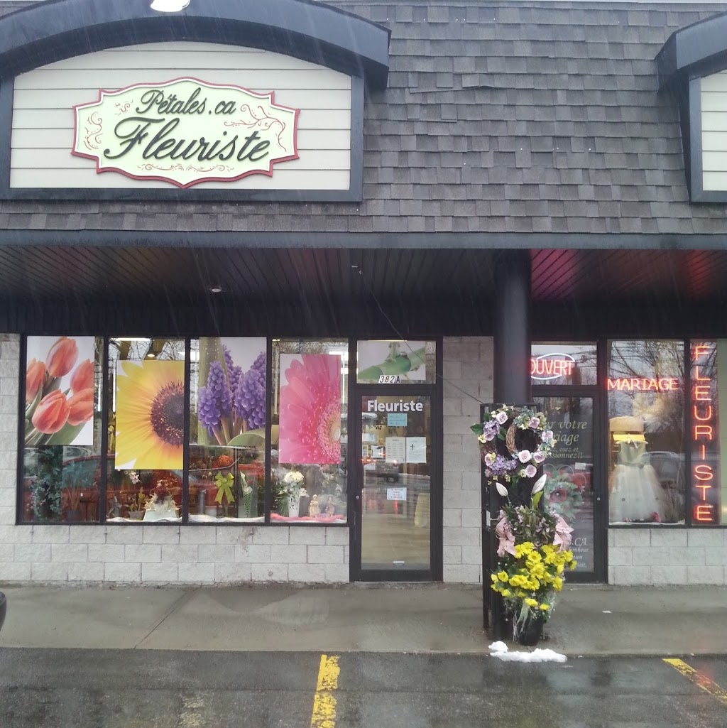 Fleuriste Pétales Ca | 382 Boulevard Adolphe-Chapleau, Bois-des-Filion, QC J6Z 1H3, Canada | Phone: (450) 965-1885