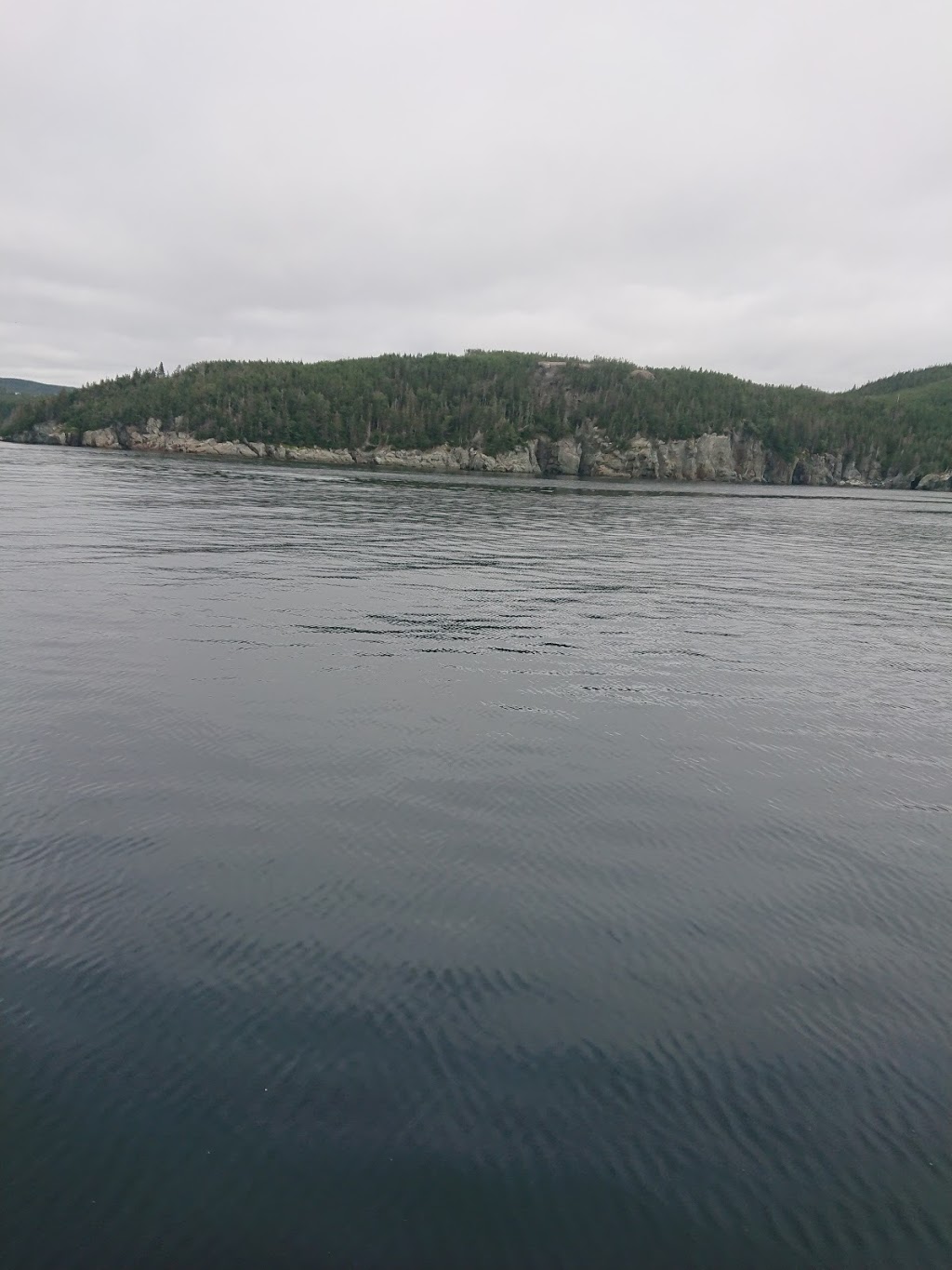 Cape Broyle Head Path | Southside Rd, Calvert, NL A0A 1N0, Canada