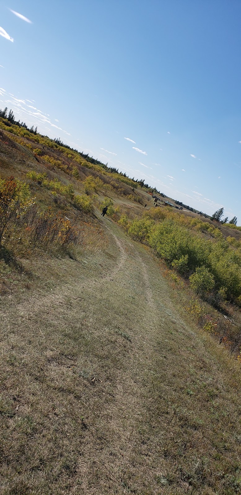 Epinette Creek Trailhead | South Cypress, MB R0K 0H0, Canada | Phone: (204) 827-8850