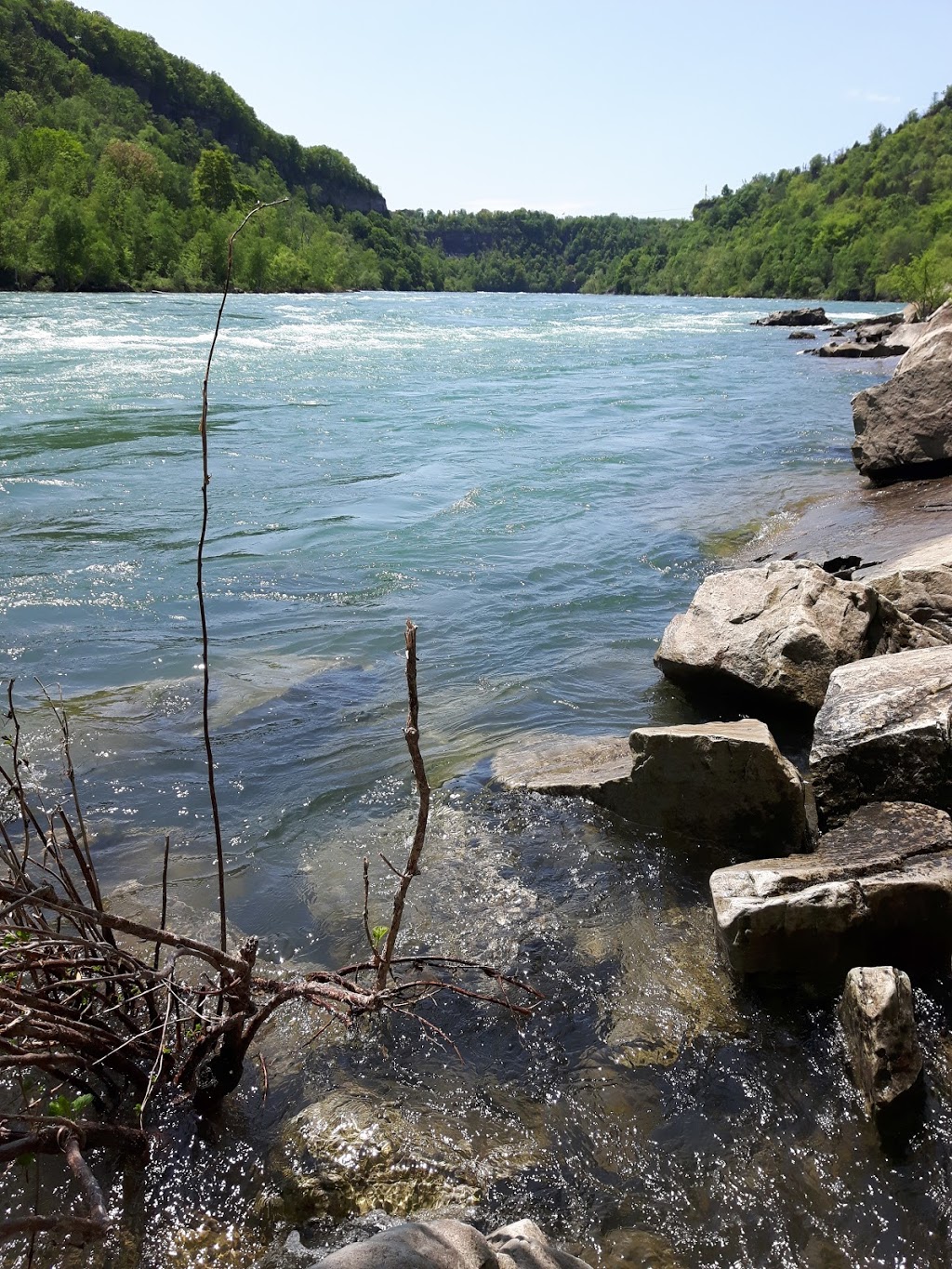 Niagara Glen Nature Centre | 3050 Niagara Pkwy, Niagara Falls, ON L2E 3E8, Canada