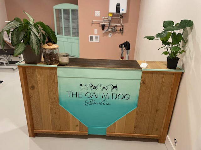 The Calm Dog Studio | 3691 Saanich Rd, Victoria, BC V8X 1X7, Canada | Phone: (778) 350-4777