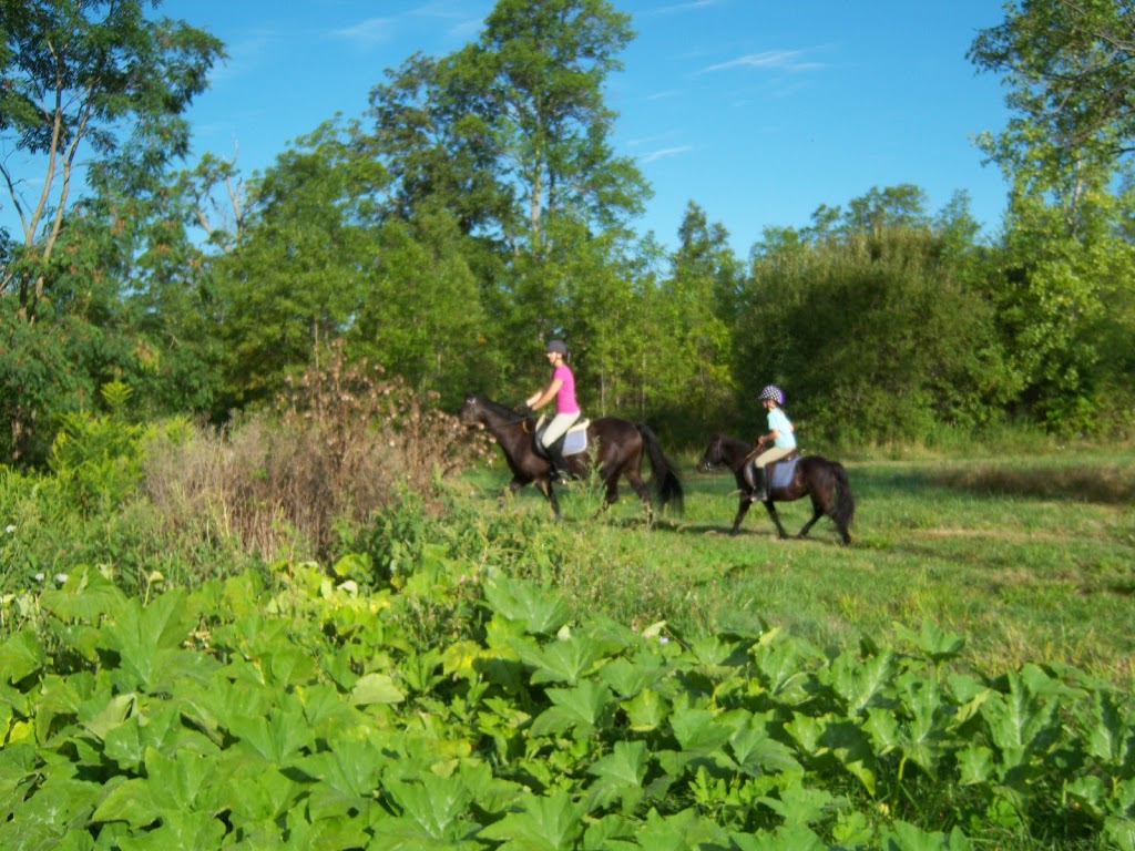 Aspen Acres Farms | Rathfon Rd, Port Colborne, ON L3K 5V4, Canada | Phone: (289) 686-2516