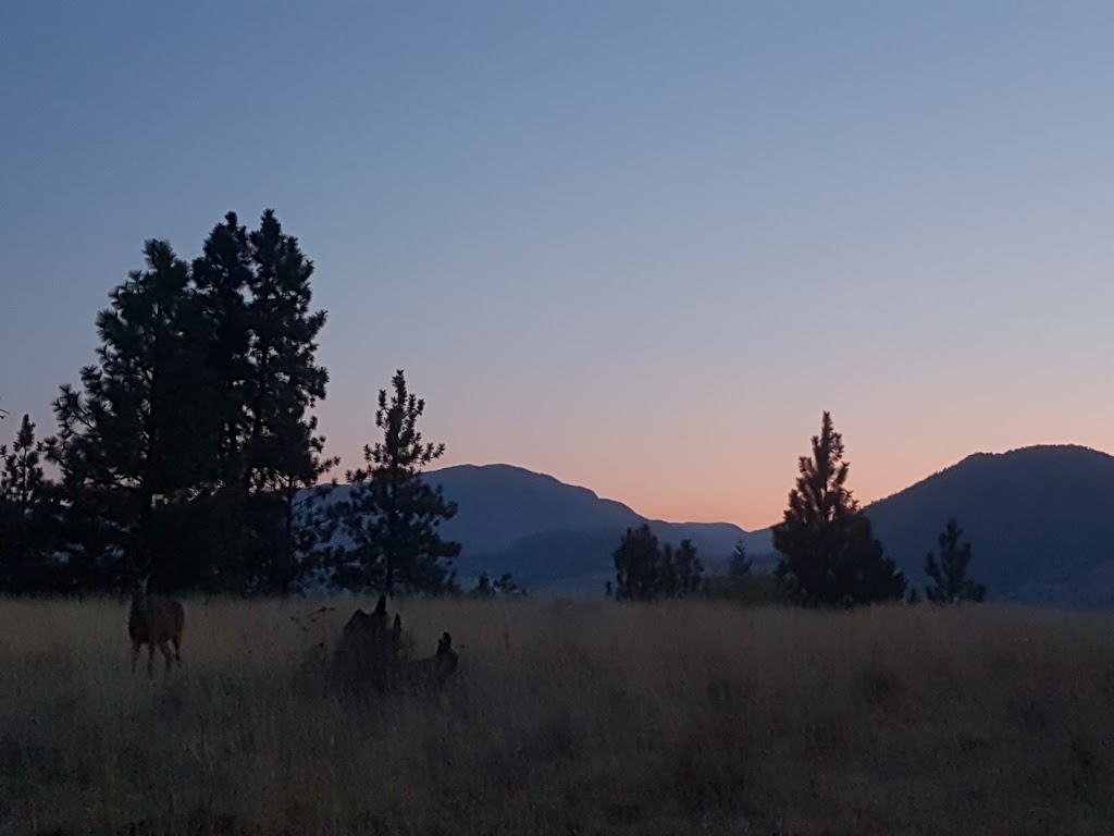 Skaha Bluffs Parking Lot | Smythe Dr, Penticton, BC V2A 8W6, Canada