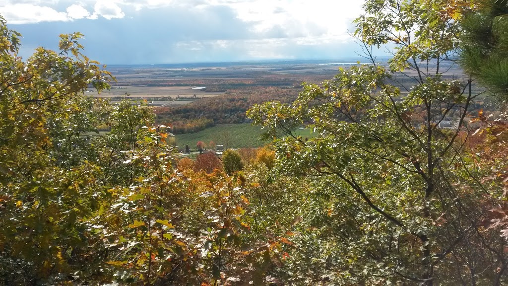 Refuge doiseaux de Mont-Saint-Hilaire | Gault Nature Reserve, 422 Chemin des Moulins, Mont-Saint-Hilaire, QC J3G 4S6, Canada | Phone: (450) 467-4010