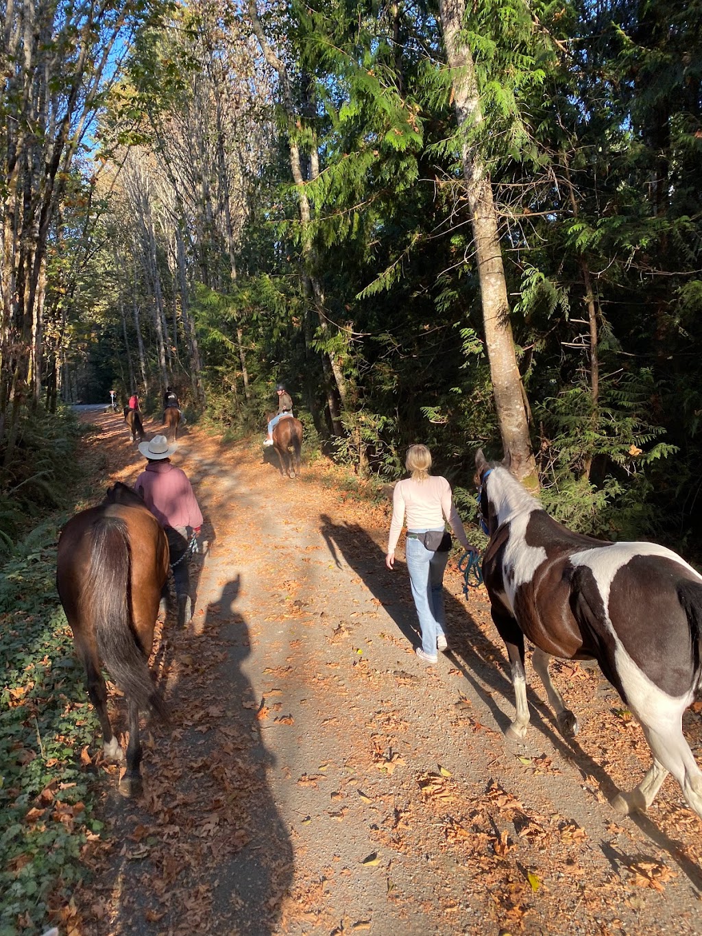 Giddy-Up Equestrian | 5480 Sooke Rd, Sooke, BC V9Z 0C7, Canada | Phone: (236) 882-2023