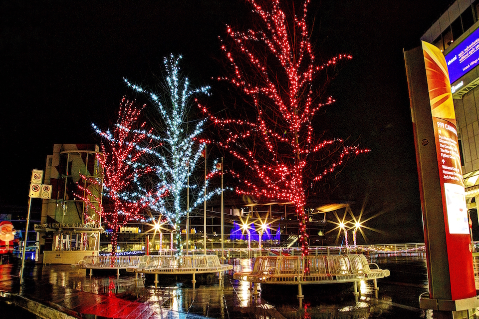 FestiLight Victoria - Christmas Light Installation | 426 William St, Victoria, BC V9A 3Y9, Canada | Phone: (855) 733-7845