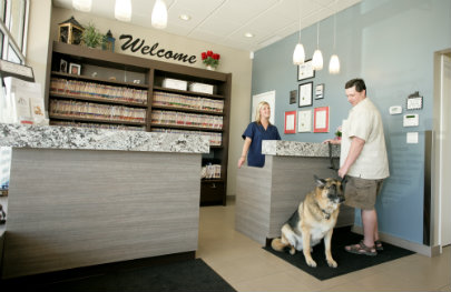 Mountainview Animal Hospital | 333 Mountainview Rd S #12, Georgetown, ON L7G 6E8, Canada | Phone: (905) 702-8822