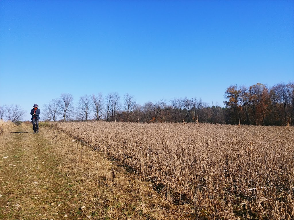 Organic Lees Farm (이씨농장) | 2191 25 Side Rd, Moffat, ON L0P 1J0, Canada | Phone: (416) 909-2766