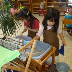 Montessori Education Centre | 2737 Bayview Ave, North York, ON M2L 1C5, Canada | Phone: (416) 502-1769