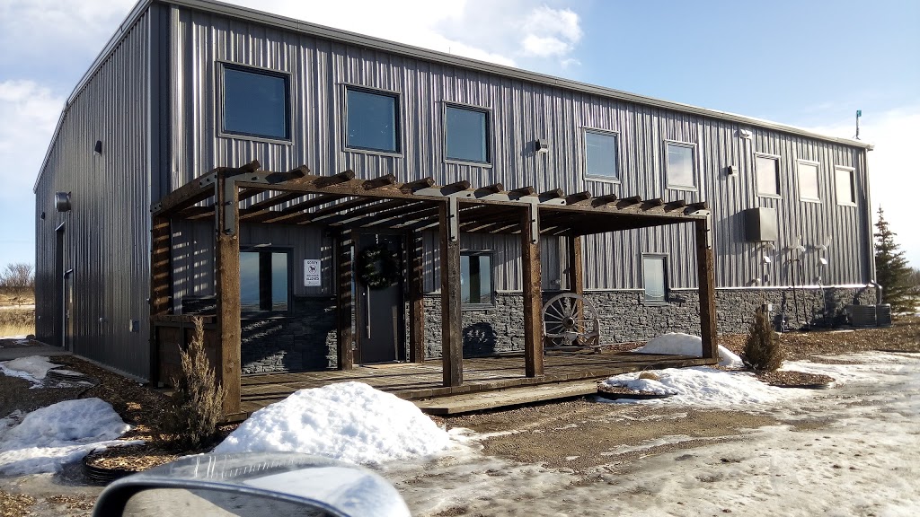 Energy Equine Veterinary | 281056 Dickson Stevenson Trail, Rocky View No. 44, AB T4B 4L5, Canada | Phone: (403) 700-0818