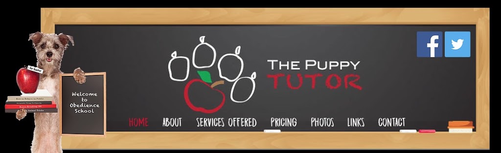 The Puppy Tutor | 56 Belcourt Crescent, Guelph, ON N1H 7A7, Canada | Phone: (519) 820-3511