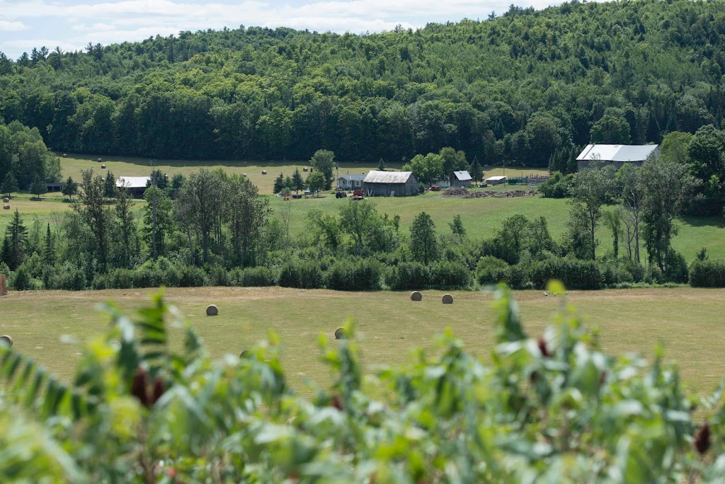 Ferme Le Bel | 201 Chem. Irwin, Alcove, QC J0X 1A0, Canada | Phone: (873) 353-2259