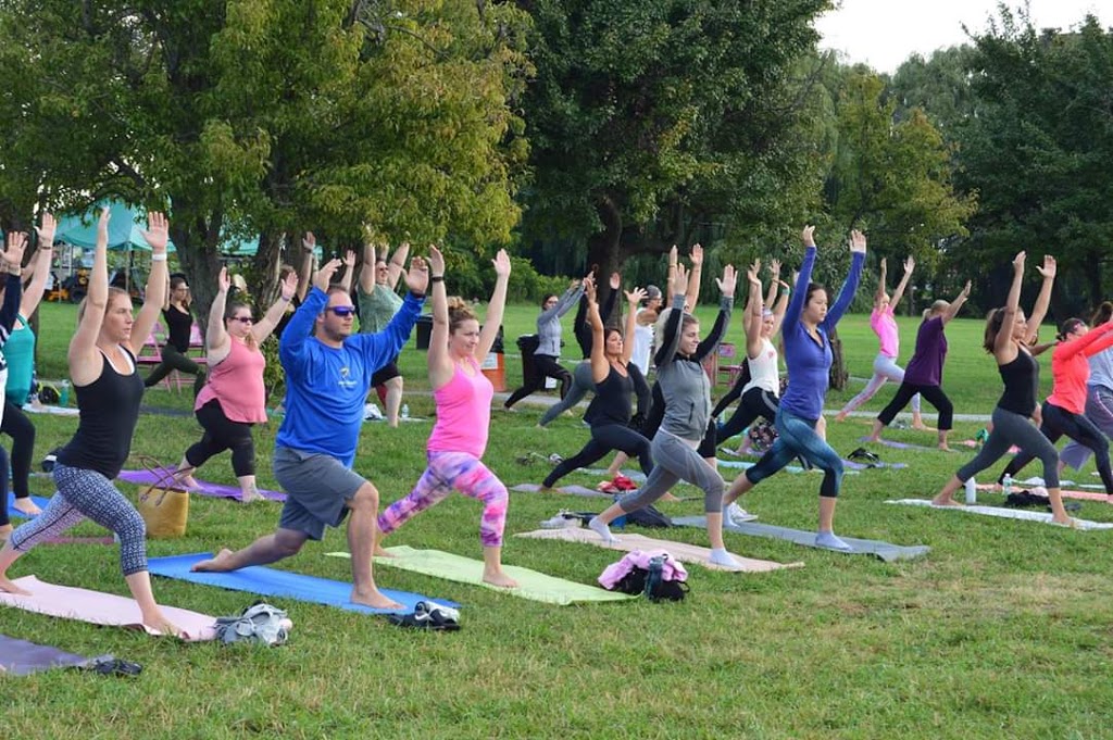 Buffalo Yogi - Vinyasa Flow Yoga Classes | 8469 Sheridan Dr, Williamsville, NY 14221, USA | Phone: (716) 241-1609
