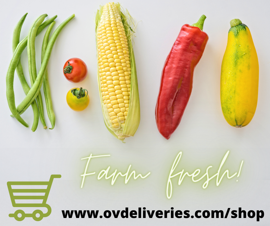 Ottawa Valley Deliveries | 999 Opeongo Rd, Renfrew, ON K7V 3Z5, Canada | Phone: (613) 312-9206