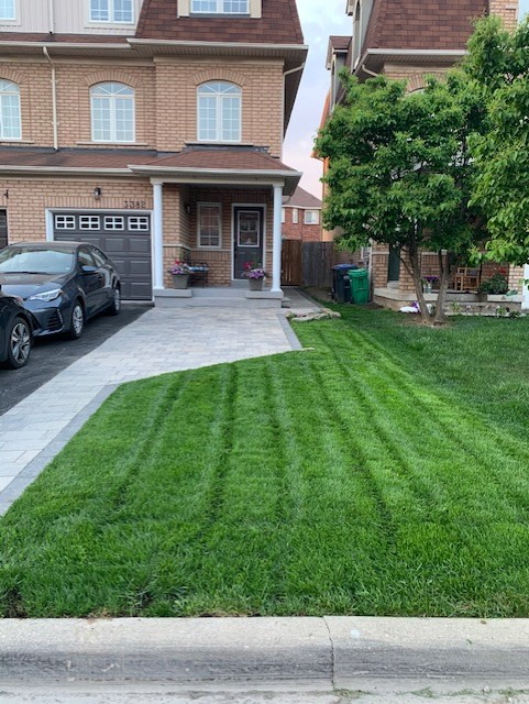 Above All Green Lawns | 1063 Deacon Dr, Milton, ON L9T 5S5, Canada | Phone: (905) 399-4303