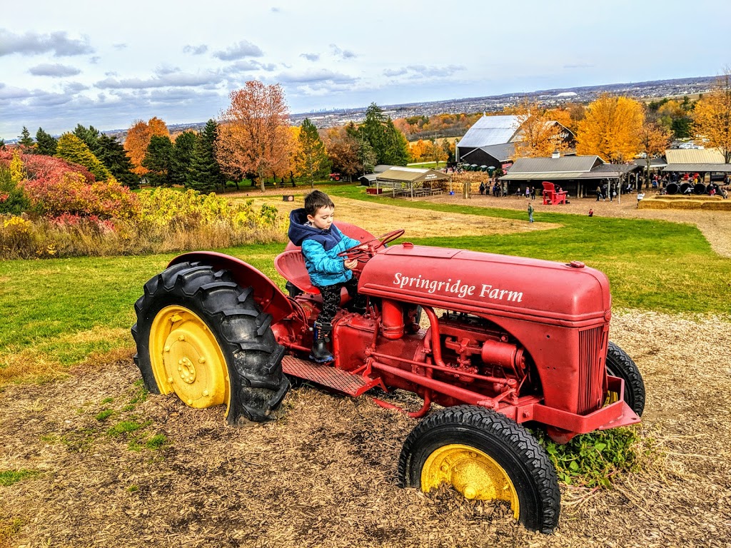 Springridge Farm | 7256 Bell School Line, Milton, ON L9E 0N7, Canada | Phone: (905) 878-4908