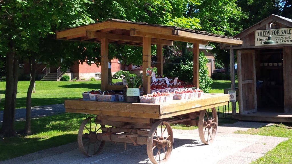 Millers Bay Farm | 65 Rideau Ferry Rd, Lombardy, ON K0G 1L0, Canada | Phone: (613) 283-0205