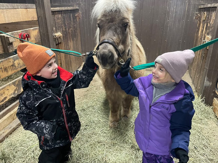 Celestine Stables | 2572 Mnt dAlstonvale, Vaudreuil-Dorion, QC J7V 0K5, Canada | Phone: (514) 516-8718