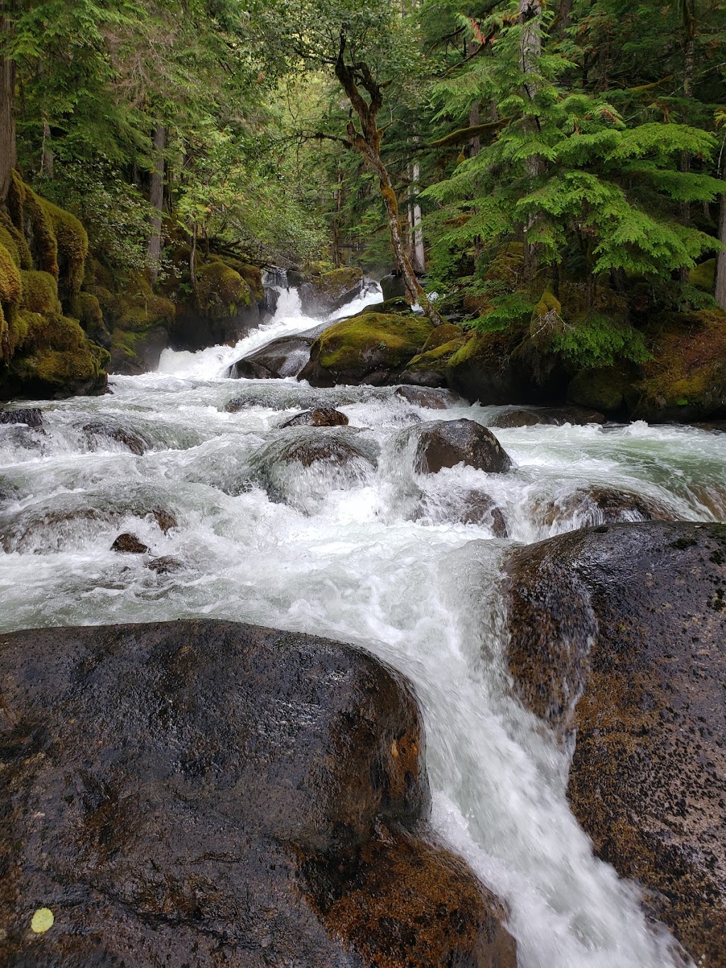 Joffre Creek Cabins | 2908 BC-99, Mount Currie, BC V0N 2K0, Canada | Phone: (604) 518-3456