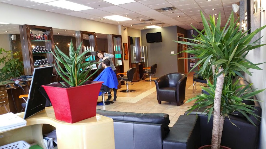 Rudys Barber Style | 457 Hazeldean Rd, Kanata, ON K2L 4E4, Canada | Phone: (613) 836-0444