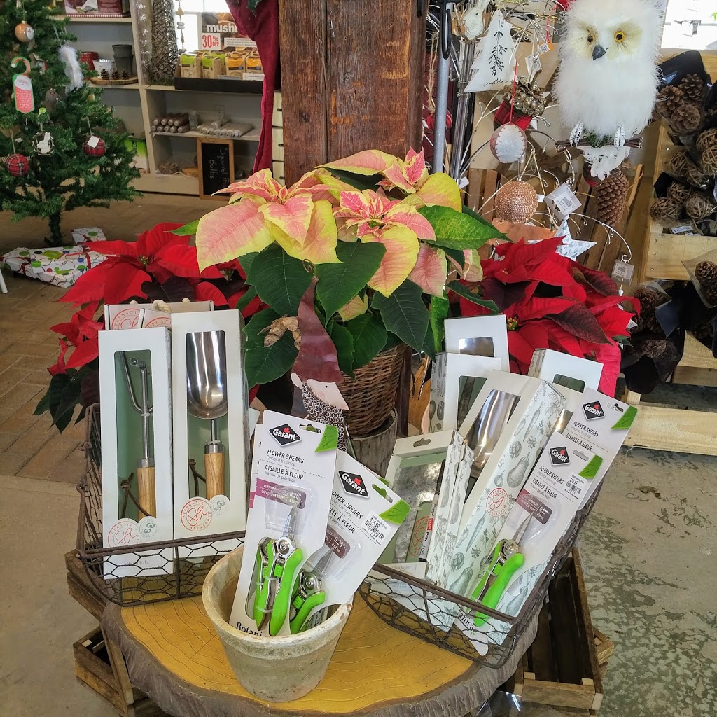 LittleTree Garden Market | 17 Side Rd 18, Fergus, ON N1M 2W3, Canada | Phone: (519) 843-5394