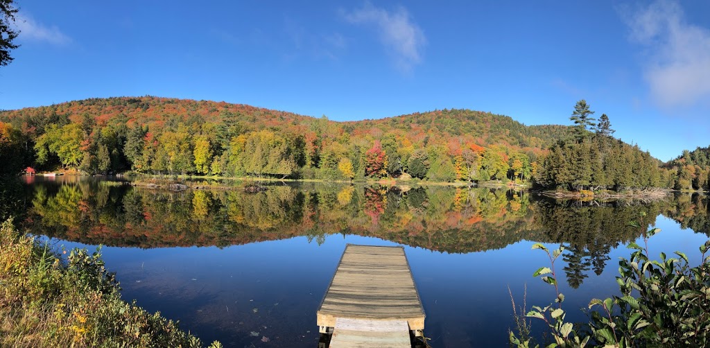 Totem Chalets Riverains | 356 Chemin du Lac Brochet, Labelle, QC J0T 1H0, Canada | Phone: (514) 206-6661