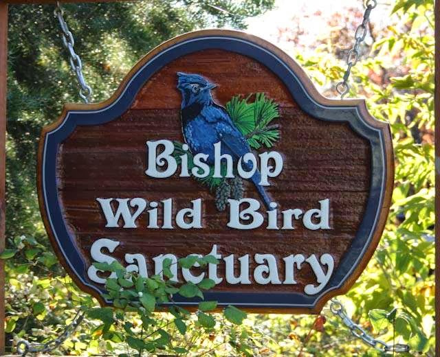 Bishop Wild Bird Sanctuary | 12408 Coldstream Creek Rd, Coldstream, BC V1B 1G1, Canada | Phone: (250) 542-5122