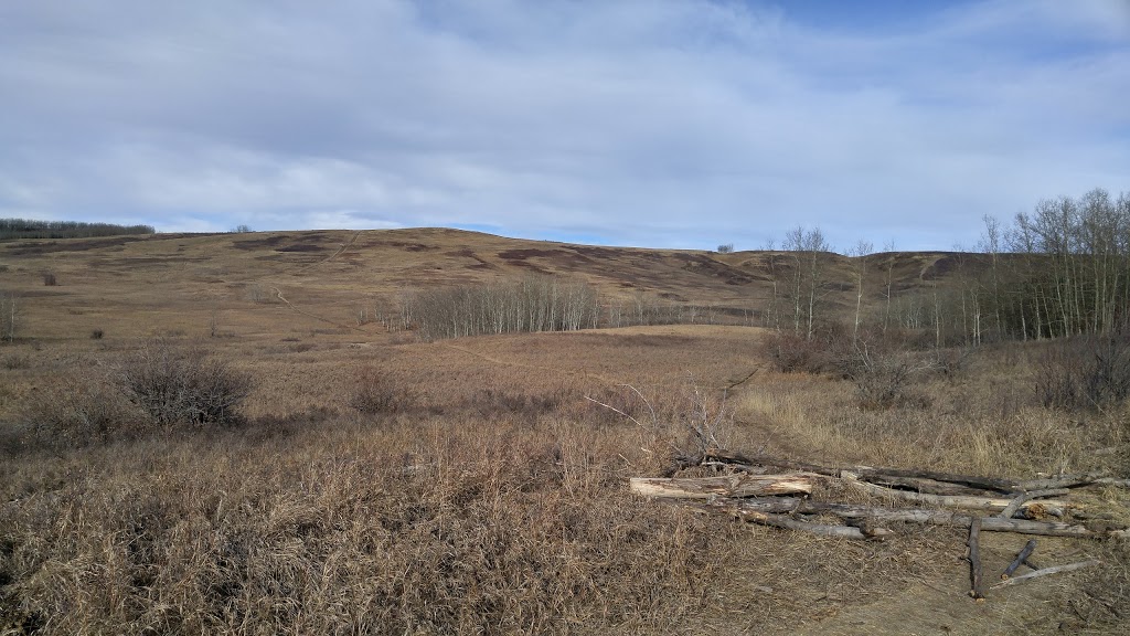 Many Owls Valley Parking Lot | Northwest Calgary, Calgary, AB T2K 1J7, Canada