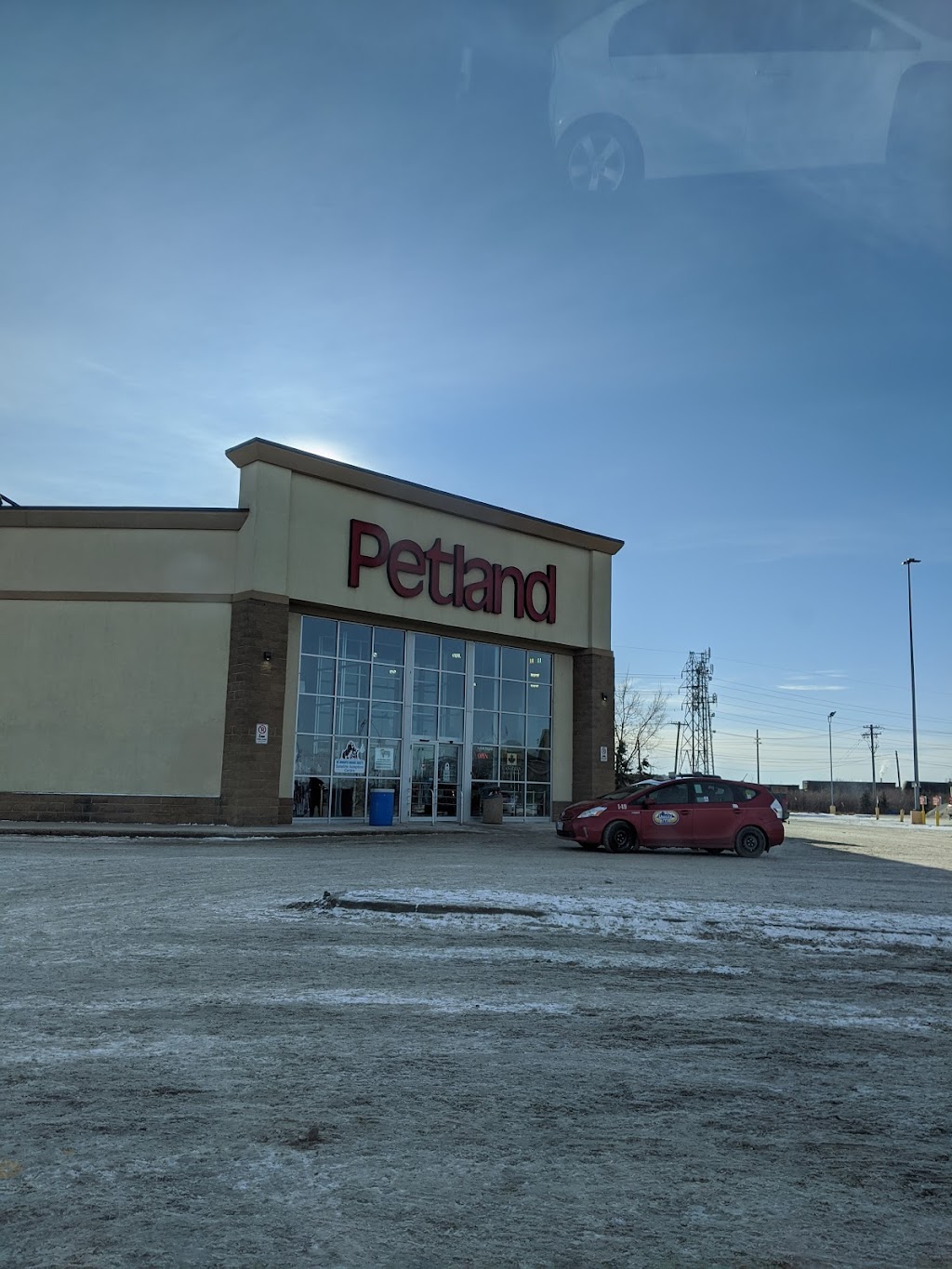 Petland Regent | 1546 Regent Ave W, Winnipeg, MB R2C 3B4, Canada | Phone: (204) 654-9806