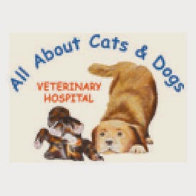 All About Cats & Dogs Veterinary Hospital | 1010 Taylor St E, Saskatoon, SK S7H 1W5, Canada | Phone: (306) 382-7387