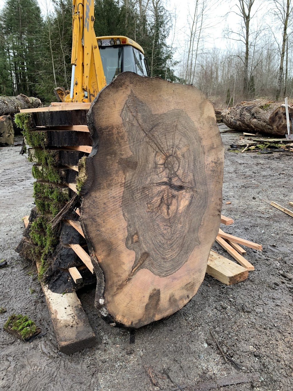 DV Wood Products | 17186 80 Ave, Surrey, BC V4N 6J6, Canada | Phone: (604) 202-5211