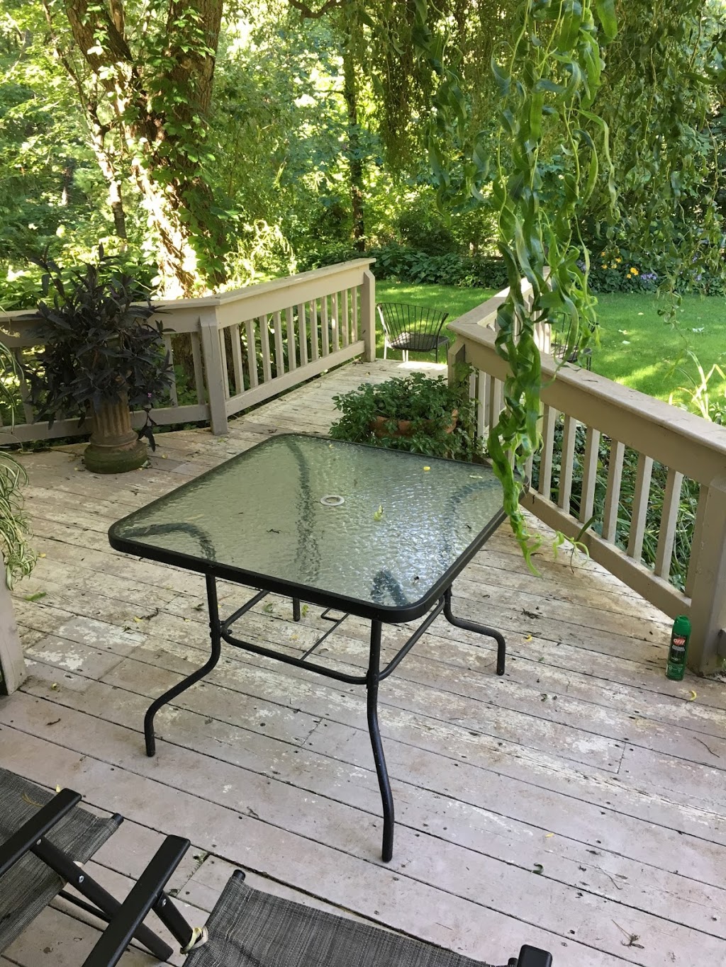 Applewood Hollow Bed & Breakfast | 2230 Four Mile Creek Rd, Niagara-on-the-Lake, ON L0S 1J0, Canada | Phone: (905) 468-0408