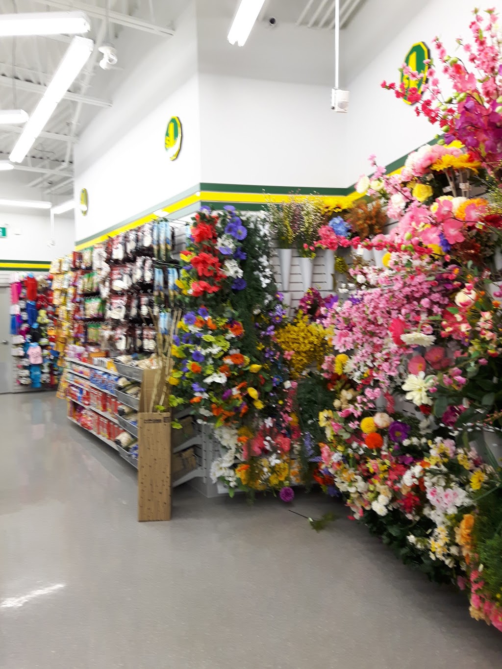 Dollarama | 711 King St E, Gananoque, ON K7G 1H4, Canada | Phone: (613) 382-8851