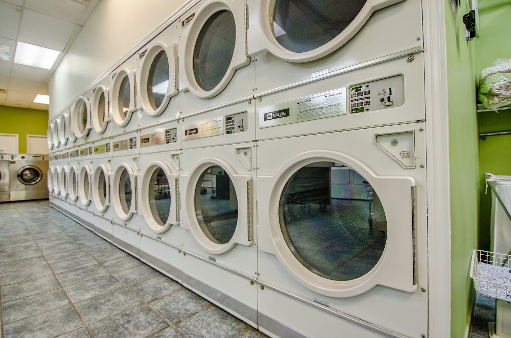 Cedargreen Coin Laundry and Dry Clean Depot | 3340 Lawrence Ave E, Scarborough, ON M1H 1A7, Canada | Phone: (416) 289-7514