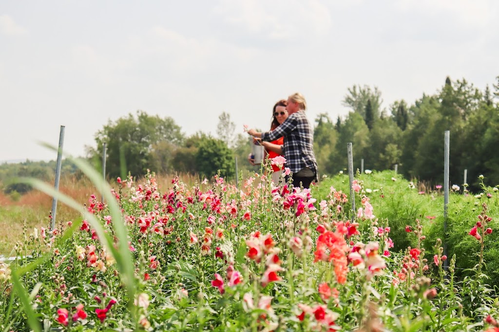 Ferme Florale Libella | 894 QC-214, Bury, QC J0B 1J0, Canada | Phone: (819) 560-1894