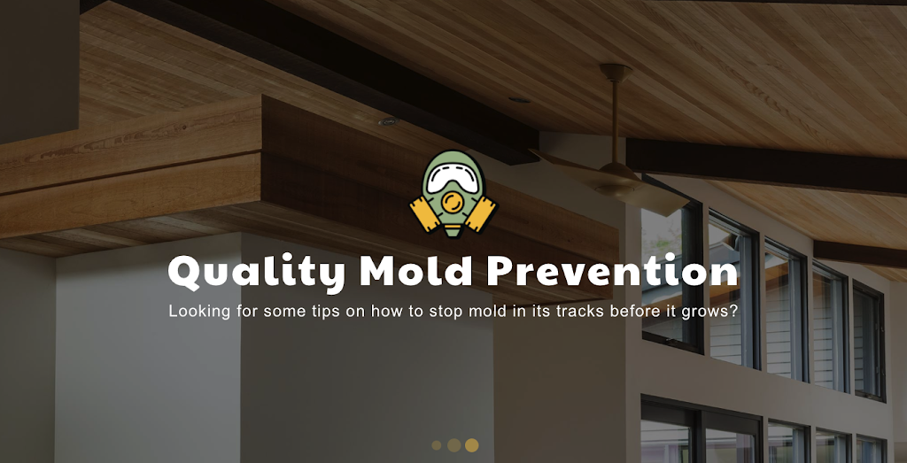 Mold Away | Canmore Mold Removal / Mold Remediation | Mould Away | 104 Boulder Crescent #2, Canmore, AB T1W 1L2, Canada | Phone: (587) 807-6071