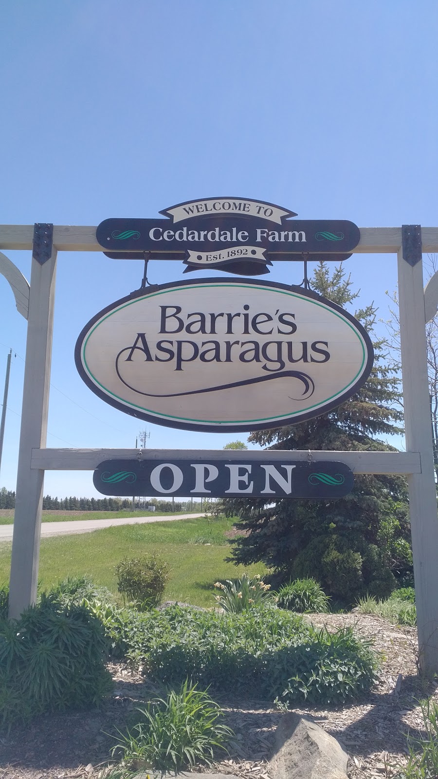 Barries Asparagus | 1236 Kings Rd, Cambridge, ON N1R 5S3, Canada | Phone: (519) 621-9409