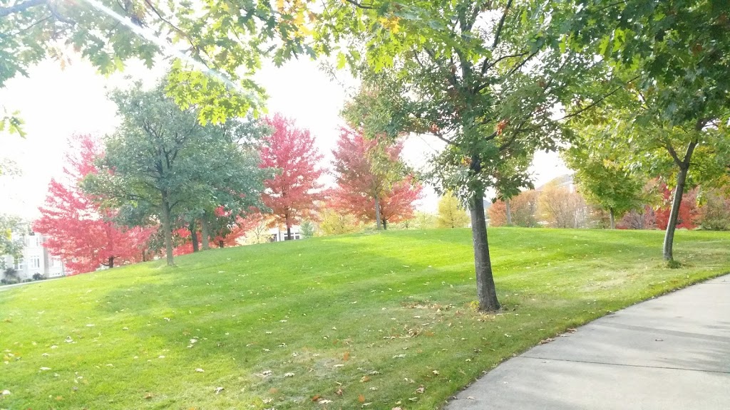 South Unionville Stormwater Management Park | Unnamed Road, Unionville, ON L3R 4S2, Canada