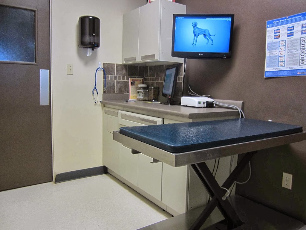 Camrose Veterinary Hospital | 4712 41 St, Camrose, AB T4V 0Z6, Canada | Phone: (780) 672-3171