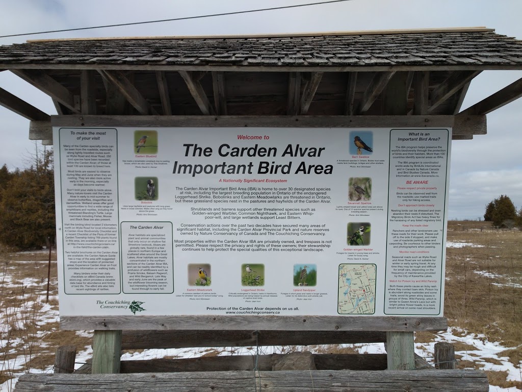 The Carden Alvar Important Bird Area | Kawartha Lakes, ON K0M 2B0, Canada