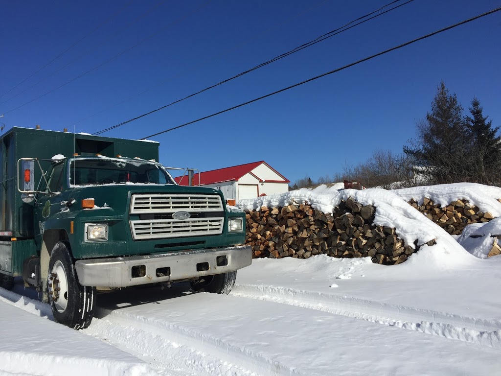 Verti-Go Arboriculture | 82 Rue des Diamants, Sherbrooke, QC J1G 3Z8, Canada | Phone: (819) 345-2749