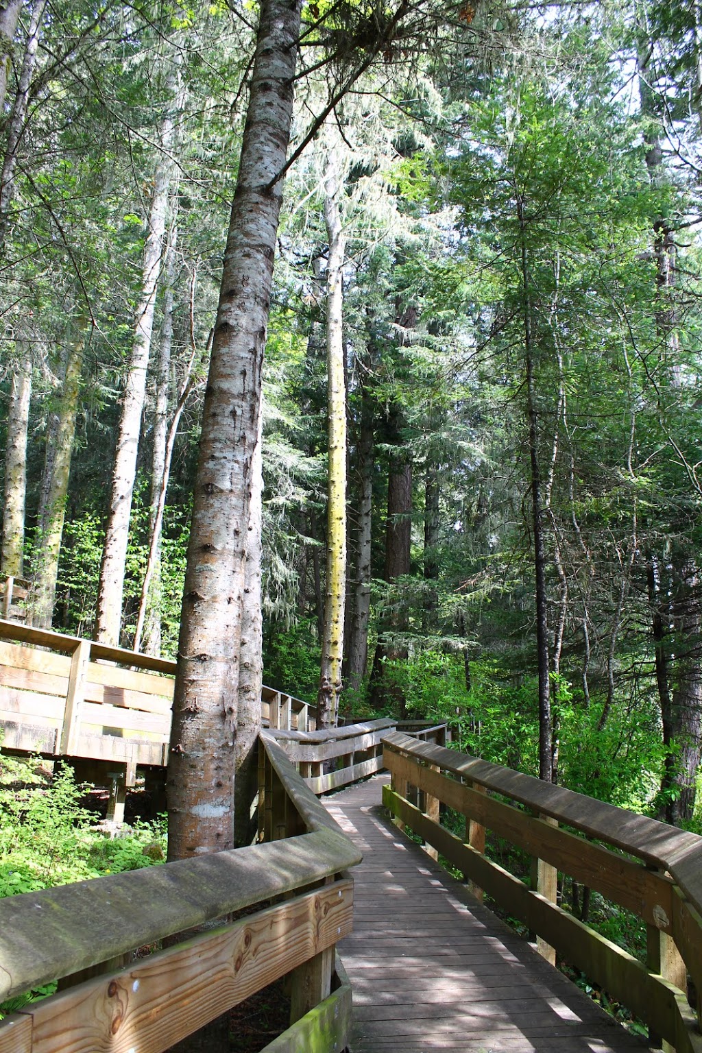 Sooke Marine Boardwalk | Sooke Marine Boardwalk, Sooke, BC V9Z 0V2, Canada