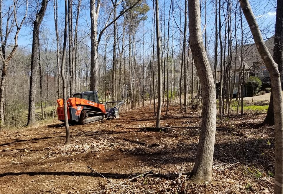 Alberta Land Clearing and Forestry Mulching - Wild Rose | 123 Everwoods Green SW Calgary (Millrise, Somerset / Bridlewood, Evergreen, AB T2Y 0B6, Canada | Phone: (587) 806-4406