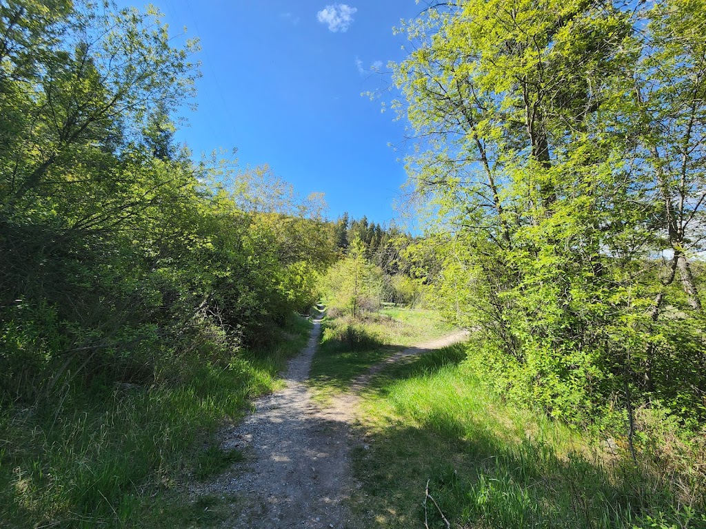 Sinclair Canyon Trail | ROTARY PARK, Radium Hot Springs, BC V0A 1M0, Canada | Phone: (250) 347-9505