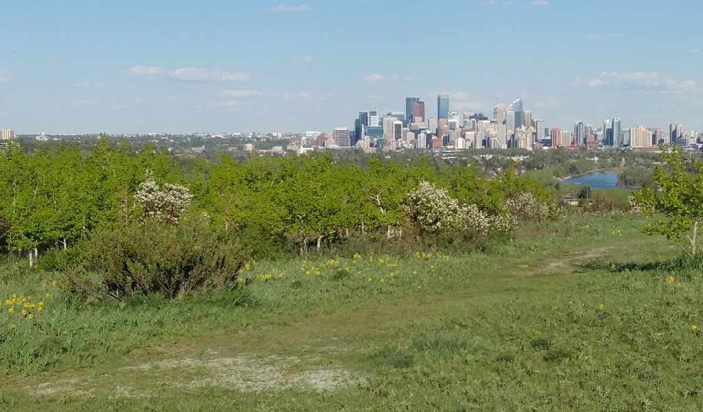 Coach Hill Off-leash Area COA-001 | 6204 Coach Hill Rd SW, Calgary, AB T3H 1J4, Canada