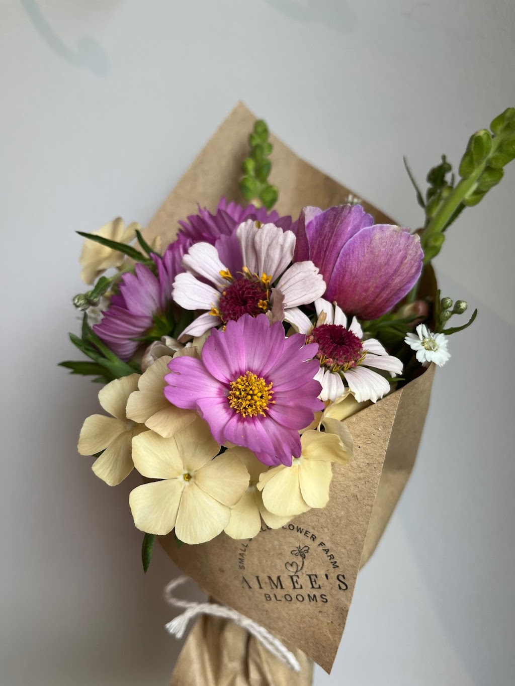 Aimees Blooms | 3583 Ch. Old Montréal Rd, Cumberland, ON K4C 1C8, Canada | Phone: (613) 857-8985