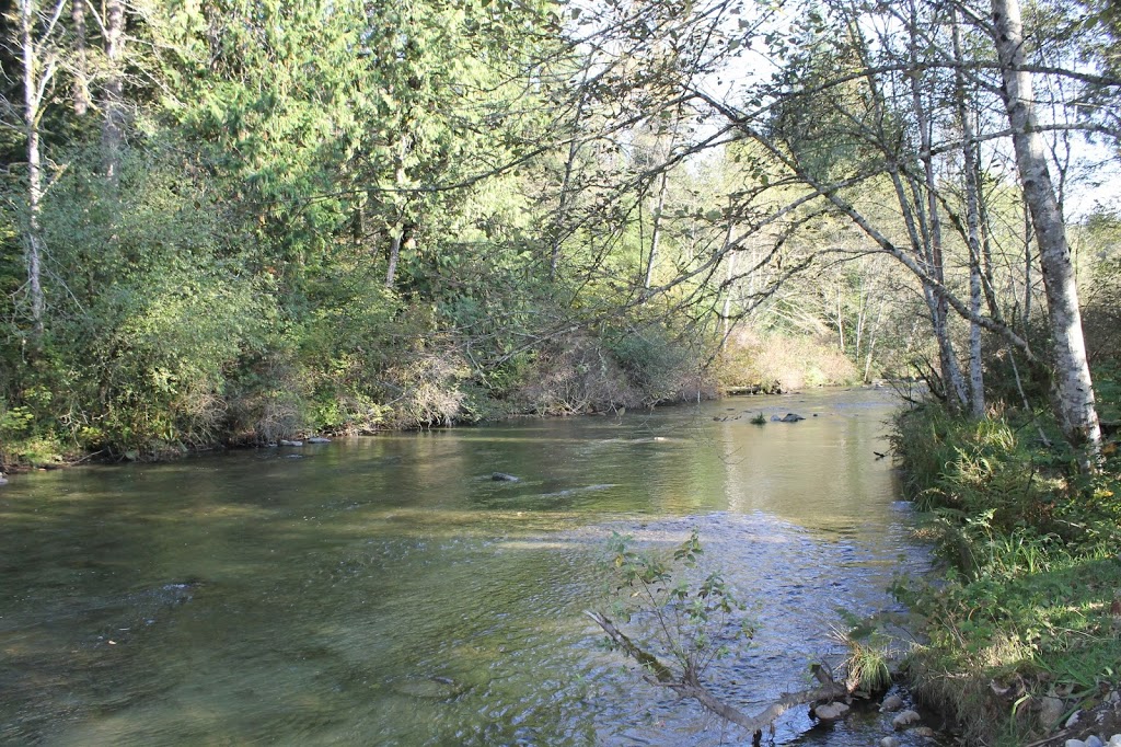 Alouette River Management Society | 24959 Alouette Rd, Maple Ridge, BC V4R 1R8, Canada | Phone: (604) 467-6401